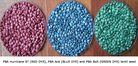 PBA Hurricane XTA (RED DYE), PBA AceA (BLUE DYE) and PBA BoltA (GREEN DYE) lentil seed